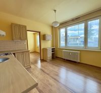 A kitchen with a wood-patterned floor, a countertop, and a large window in a studio apartment.