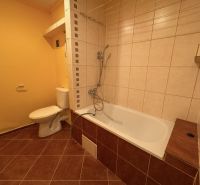 Bathroom in a one-room apartment with a bathtub and toilet with tiles in brown tones.
