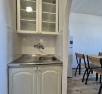 Kitchen corner in a studio apartment with a sink, cabinets, and a table on a wooden decor floor.