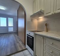 Kitchen corner in a studio apartment with a wooden decor floor and tiles.