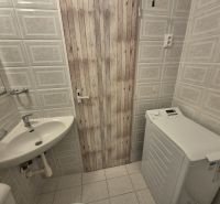 A studio apartment bathroom with a sink, washing machine, and ceramic tile cladding.