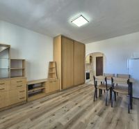 A studio apartment with a wooden floor, furniture, a dining table, and a built-in wardrobe.