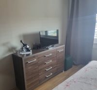 Interior of a 3-room apartment with a dresser and a television, floor with wooden decor.