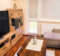 Living room in a 3-room apartment with a wooden decor floor, a sofa, and a television.