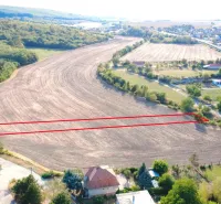 Agricultural and forest land in Podhájska surrounded by trees and a road.