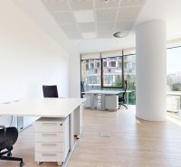 Modern offices with light walls and wood-patterned flooring.