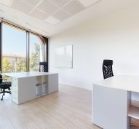 Spacious offices with large windows and wood-patterned flooring.