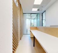 Offices with wooden decor, light walls, and glass doors.
