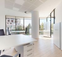 Bright offices with wood-patterned flooring and a view of the street from Čulenova.