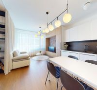 Living room of a two-room apartment with a wooden decor floor and a kitchenette.