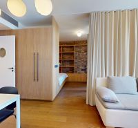 Living room in a two-room apartment with a wood-patterned floor, a sofa, and built-in wardrobes.