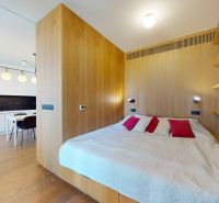 Interior of a 2-room apartment with a kitchen, wooden decor flooring, and bookshelves.