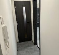 A hallway in a 2-room apartment with dark doors and a wall intercom.