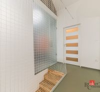 A hallway with a decorative net and two doors in a 3-room apartment.