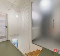 Glass doors, mesh railing, and wooden stairs in a 3-room apartment.