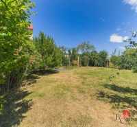 A beautiful garden full of greenery in a 3-room apartment on Čajakova Street in Bratislava-New Town.