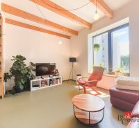 Living room in a 3-room apartment with a sofa, an armchair, and houseplants.