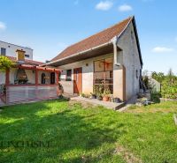 Family house with a terrace and garden near Trstice on a spacious plot.
