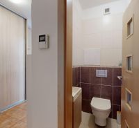 Bathroom and hallway in a 4-room apartment with wood-patterned flooring and ample storage space.