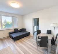 Living room in a two-room apartment with a sofa, dining table, and wooden decor flooring.