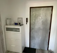 Entrance hallway with wood-patterned flooring, shoe cabinet, and doors in a 2-room apartment.