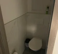 A bathroom with tiles and an air freshener in a 2-room apartment.