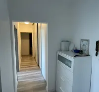 A hallway in a 2-room apartment with a white dresser and a floor with a wood design.
