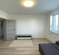 A bright living room in a two-room apartment with a wooden decor floor and a gray sofa.