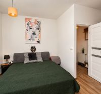 A bedroom in a studio apartment with a painting, a gray couch, and a wooden decor floor.