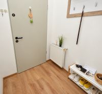 Entrance hall in a one-room apartment with wood-patterned flooring and storage space.