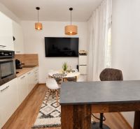 A kitchen in a studio apartment with a wood-patterned floor and a dining table.