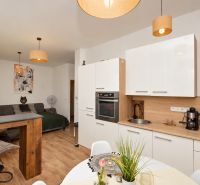 Interior of a 1-room apartment with a kitchen unit and a wooden decor floor.