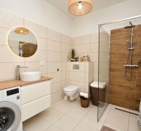 Bathroom with a washing machine, shower cabin, and wooden decor flooring in a studio apartment.