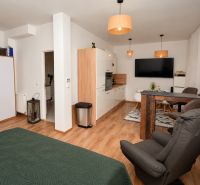 A one-room apartment with a wooden decor floor, a kitchen unit, and a dining area.