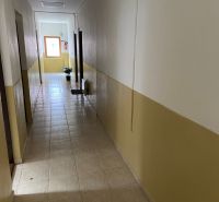 A hallway in offices with tiles and a houseplant by the window.
