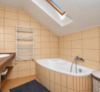 Attic bathroom with a bathtub, double sink, and skylight in a family house.