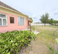 A family house in Dunakiliti with a pink facade and a garden full of greenery.