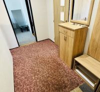 A hallway with furniture and carpet in a 3-room apartment with a wooden decor floor.