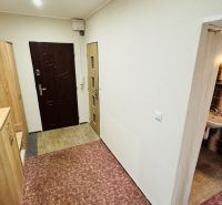 A hallway in a 3-room apartment with built-in wardrobes and a sink with lighting.