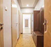 A hallway in a 2-room apartment with a wooden decor floor and a light interior.