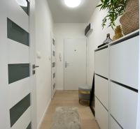 A hallway with white walls and furniture in a 3-room apartment, decorated with plants.