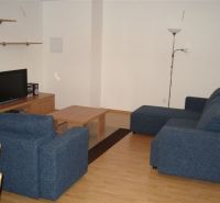 Living room in a 3-room apartment with a blue sofa and a wooden decor floor.
