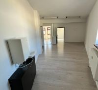 Interior of an office with wood-patterned flooring and light-colored walls.