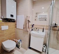 Bathroom in a 3-room apartment with a toilet and shower, light tiles.
