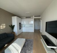Living room in a 2-room apartment with a kitchen, sofa, and wooden decor flooring.