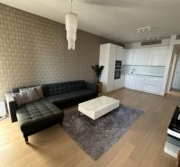 Living room in a two-room apartment with a wooden decor floor, sofa, and kitchen unit.