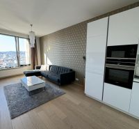 2-room apartment with wood-patterned flooring, sofa, kitchen, view, window, carpet.