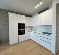 A kitchen in a 2-room apartment with a wooden decor floor and built-in appliances.