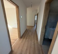 Hallway in a family house with a wooden decor floor, bathroom, and a room with a window.