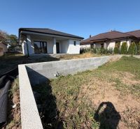 A family house on Hlavná Street in Preseľany, with a terrace and a landscaped garden.